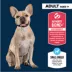 Authority® Everyday Health Small Breed Adult Dry Dog Food - Chicken & Rice image thumbnail 3
