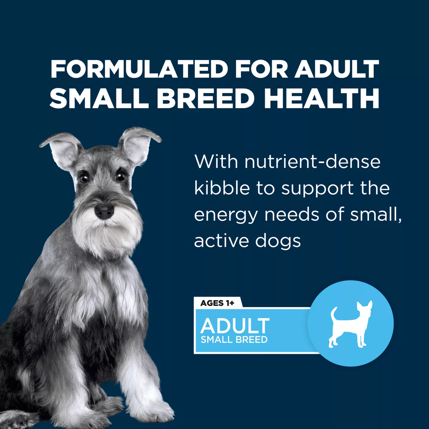 Authority adult small breed best sale