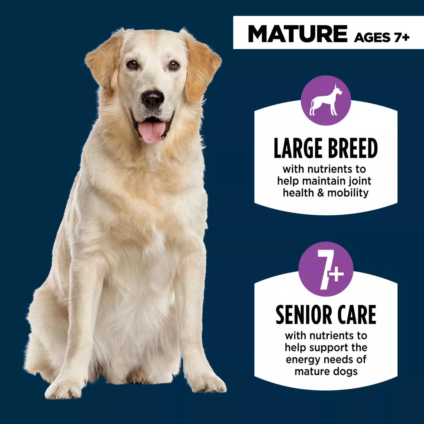 Best senior dog food large breed best sale