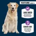 Authority® Everyday Health Large Breed Senior 7+ Dry Dog Food - Chicken & Rice image thumbnail 3