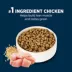 Authority® Everyday Health Large Breed Senior 7+ Dry Dog Food - Chicken & Rice image thumbnail 4