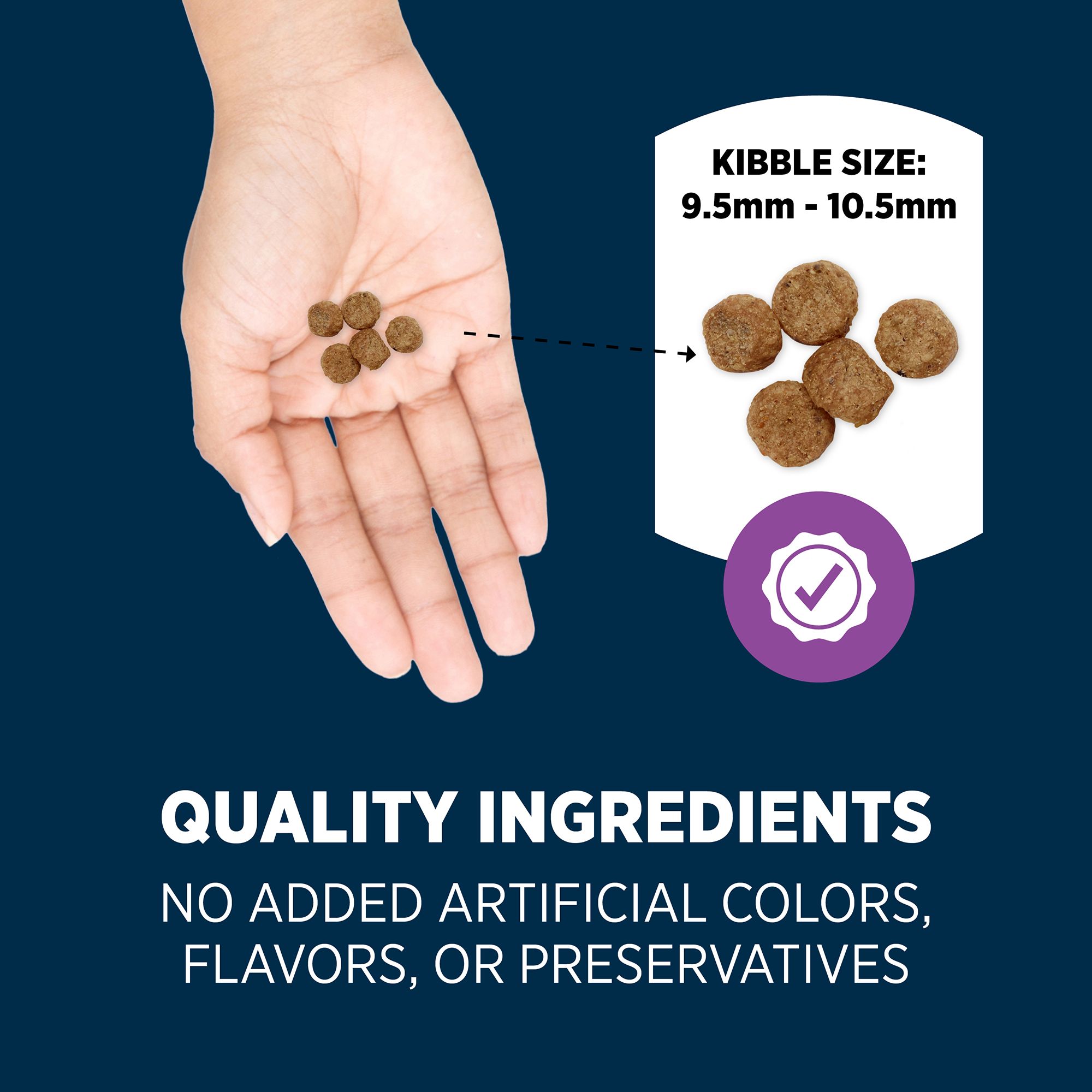 glucosamine for dogs petsmart