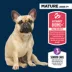 Authority® Everyday Health Small Breed Senior 7+ Dry Dog Food - Chicken & Rice image thumbnail 3