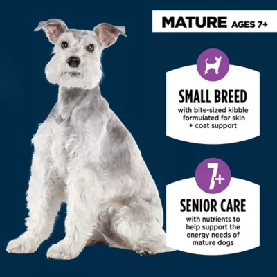 Product Authority® Everyday Health Small Breed Senior 7+ Dry Dog Food - Chicken & Rice