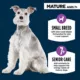 Product Authority® Everyday Health Small Breed Senior 7+ Dry Dog Food - Chicken & Rice