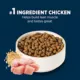 Product Authority® Everyday Health Small Breed Senior 7+ Dry Dog Food - Chicken & Rice