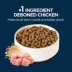 Authority® Everyday Health Small Breed Senior 7+ Dry Dog Food - Chicken & Rice image thumbnail 4