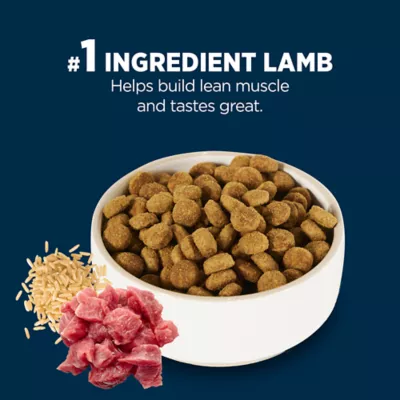 Product Authority® Everyday Health Adult Dry Dog Food - Lamb & Rice, 34 lb