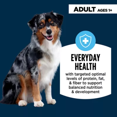 Product Authority® Everyday Health Adult Dry Dog Food - Chicken & Rice