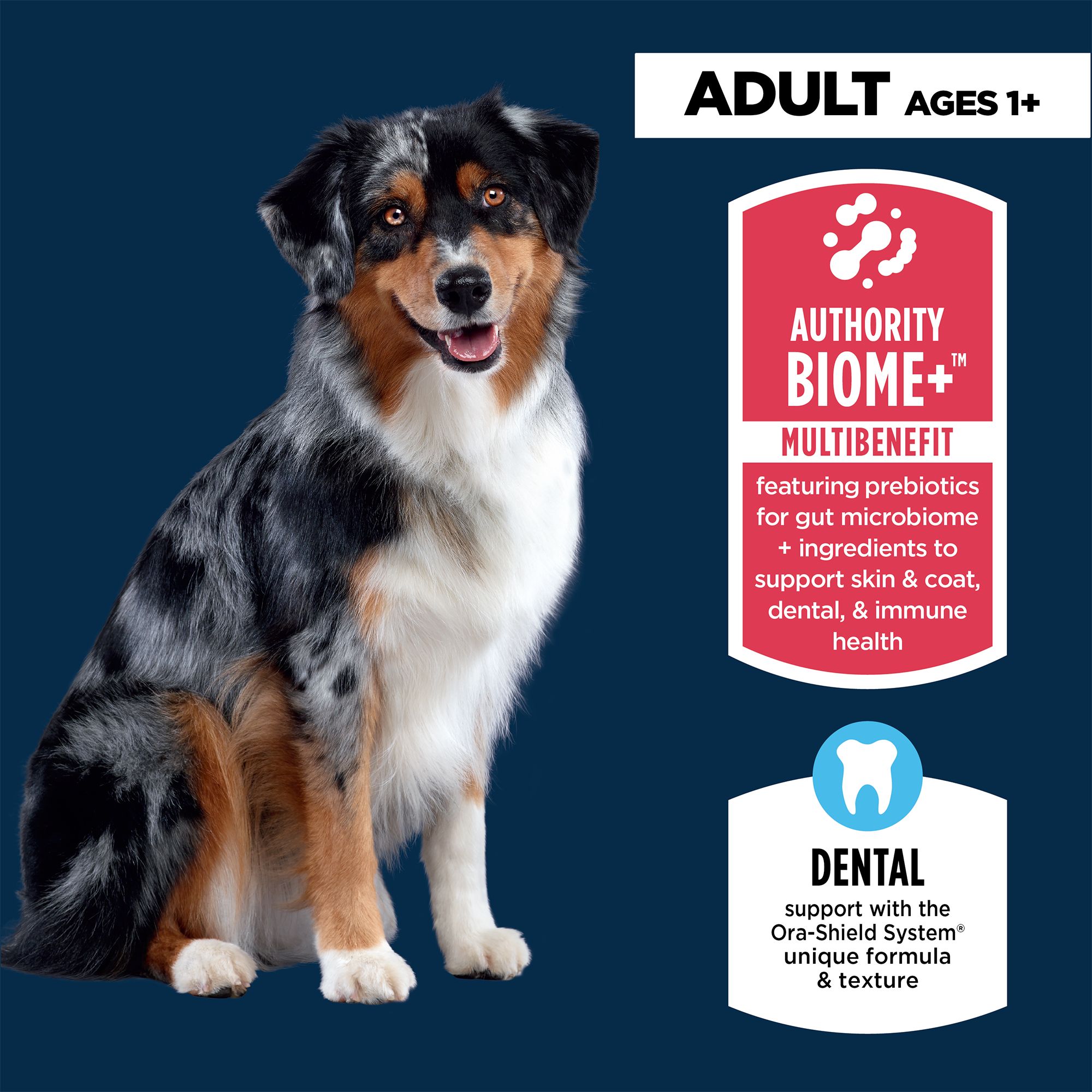 Authority Everyday Health Adult Dry Dog Food - Chicken & Rice
