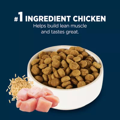 Product Authority® Everyday Health Adult Dry Dog Food - Chicken & Rice