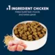 Product Authority® Everyday Health Adult Dry Dog Food - Chicken & Rice