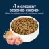 Authority® Everyday Health Senior 7+ Dry Dog Food - Chicken & Rice image thumbnail 4