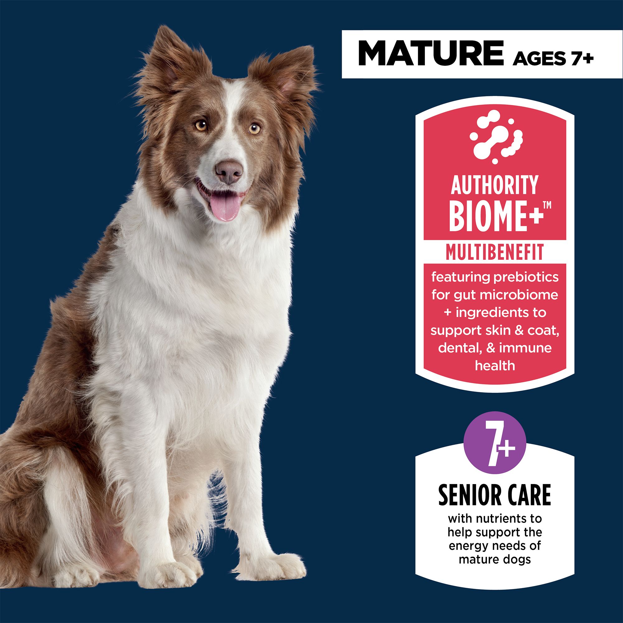 best price for wellness core ocean dry dog food Wellness CORE Grain-Free Dry Dog Food main image 1