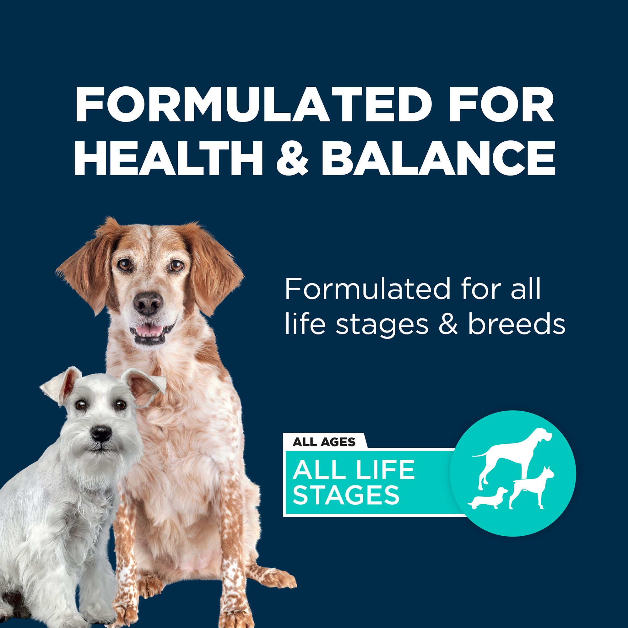 authority all life stages dog food reviews