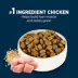 Authority® Everyday Health All Life Stages Dry Dog Food - Chicken & Rice image thumbnail 4