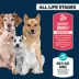 Authority® Everyday Health All Life Stages Dry Dog Food - Chicken & Rice image thumbnail 3