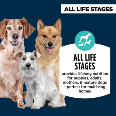 Product Authority® Everyday Health All Life Stages Dry Dog Food - Chicken & Rice