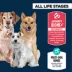 Authority® Everyday Health All Life Stages Dry Dog Food - Chicken & Rice image thumbnail 3