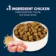 Product Authority® Everyday Health All Life Stages Dry Dog Food - Chicken & Rice