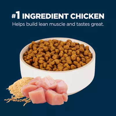 Product Authority® Everyday Health Adult Dry Cat Food - Chicken & Rice, With-Grain