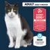 Authority® Everyday Health Indoor Cat Dry Food - Chicken & Rice, With-Grain image thumbnail 2