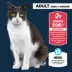 Authority® Everyday Health Indoor Cat Dry Food - Chicken & Rice, With-Grain image thumbnail 2