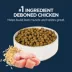 Authority® Everyday Health Indoor Cat Dry Food - Chicken & Rice, With-Grain image thumbnail 3