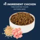 Product Authority® Everyday Health Indoor Cat Dry Food - Chicken & Rice, With-Grain