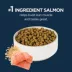 Authority® Everyday Health Indoor Cat Dry Food - Salmon & Rice, With-Grain image thumbnail 3