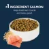 Authority® Everyday Health Indoor Cat Dry Food - Salmon & Rice, With-Grain image thumbnail 3
