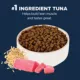 Product Authority® Everyday Health Indoor Cat Dry Food - Tuna & Rice, With-Grain