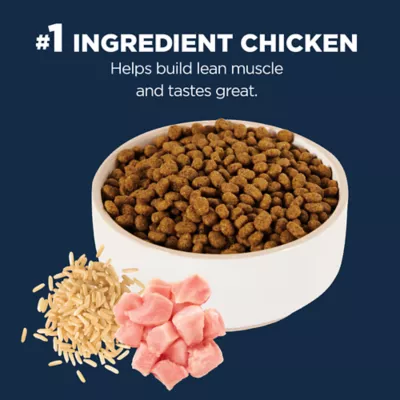 Product Authority® Everyday Health Indoor Kitten Cat Dry Food - Chicken & Rice, With-Grain