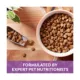 Product Nature's Recipe Dry Dog Food Adult - Lamb, Sweet Potato, Pumpkin
