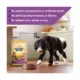 Product Nature's Recipe Dry Dog Food Adult - Lamb, Sweet Potato, Pumpkin
