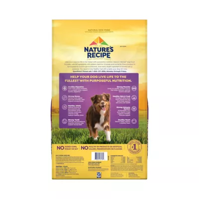 Product Nature's Recipe Dry Dog Food Adult - Lamb, Sweet Potato, Pumpkin