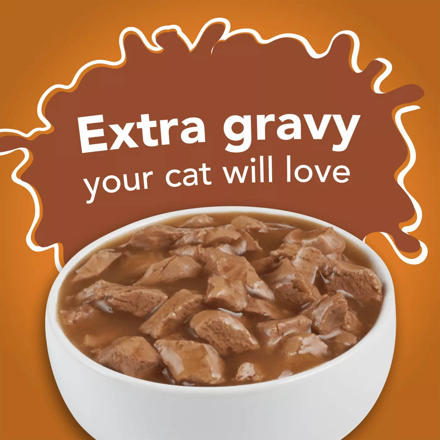 Purina Friskies Extra Gravy Adult Cat Wet Food Variety Pack 24 CT 132 OZ