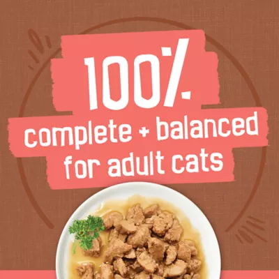 Product Purina® Friskies® Extra Gravy Adult Cat Wet Food - Variety Pack, 24 CT, 132 OZ