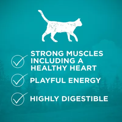 Product Purina ONE® True Instinct Adult Cat Dry Food - Ocean Whitefish, High-Protein, Natural