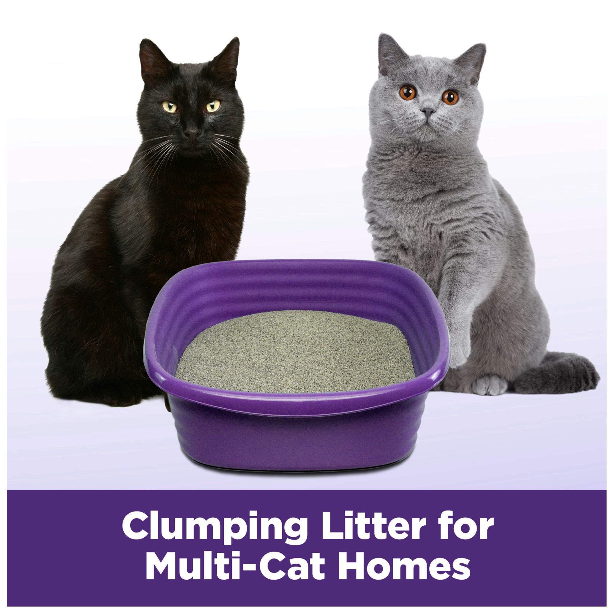 Arm Hammer Clump Seal Slide Clumping Multi Cat Clay Cat Litter PetSmart in Tustin CA The Market Place