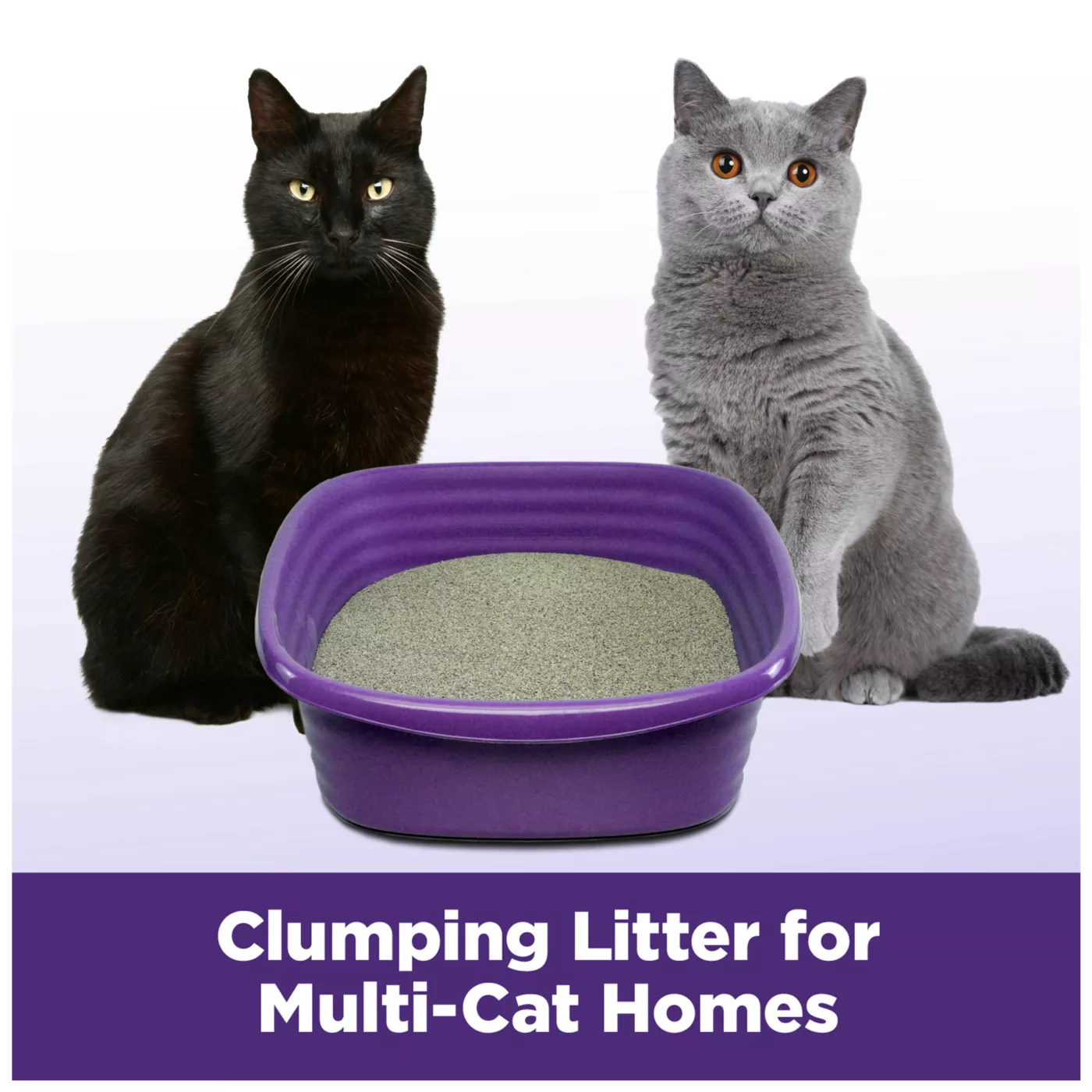 Arm Hammer Clump Seal Slide Clumping Multi Cat Clay Cat Litter Low Dust