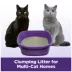 Arm & Hammer™ Clump & Seal Slide Clumping Multi-Cat Clay Cat Litter - Low Dust image thumbnail 6