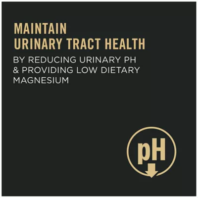 Product Purina Pro Plan Focus Adult Dry Cat Food - Urinary Tract Health, Chicken & Rice
