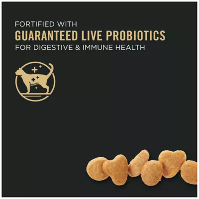 Product Purina® Pro Plan Sensitive Skin & Stomach Adult Dry Cat Food - Lamb & Rice, With Probiotics