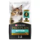 Product Purina Pro Plan Complete Essentials Kitten Dry Cat Food - High-Protein, Chicken & Rice