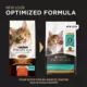 Product Purina Pro Plan Complete Essentials Kitten Dry Cat Food - High-Protein, Chicken & Rice