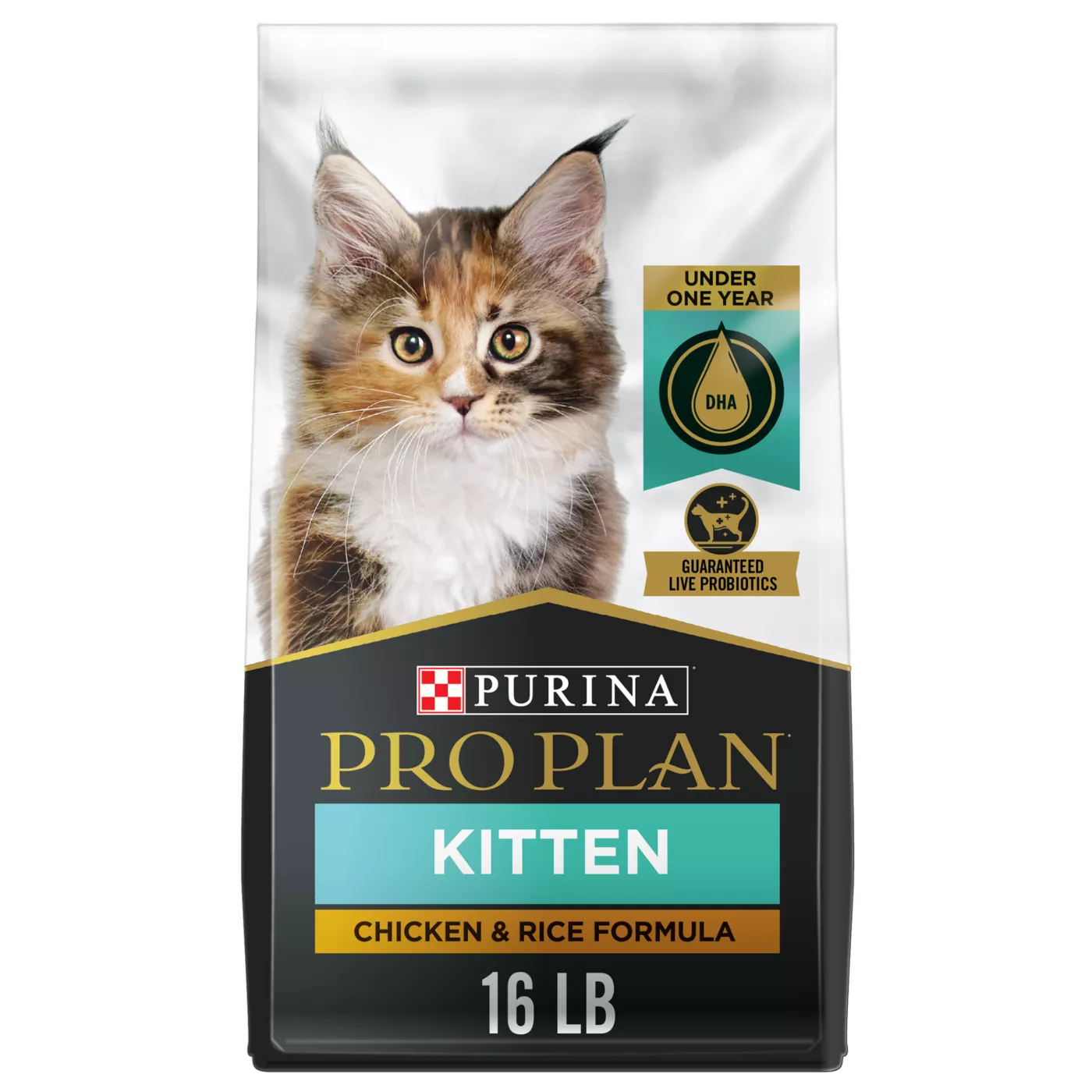 Kitten orders purina