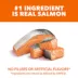 IAMS™ Proactive Health™ Adult Dry Cat Food - Healthy Adult, Salmon image thumbnail 2