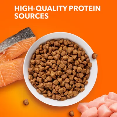 Product IAMS™ Proactive Health Adult Dry Cat Food - Healthy Adult, Salmon & Tuna