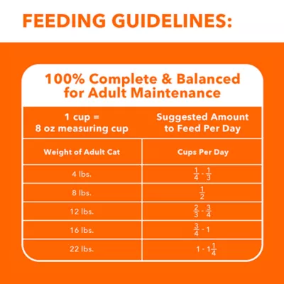 Product IAMS™ Proactive Health Adult Dry Cat Food - Healthy Adult, Salmon & Tuna